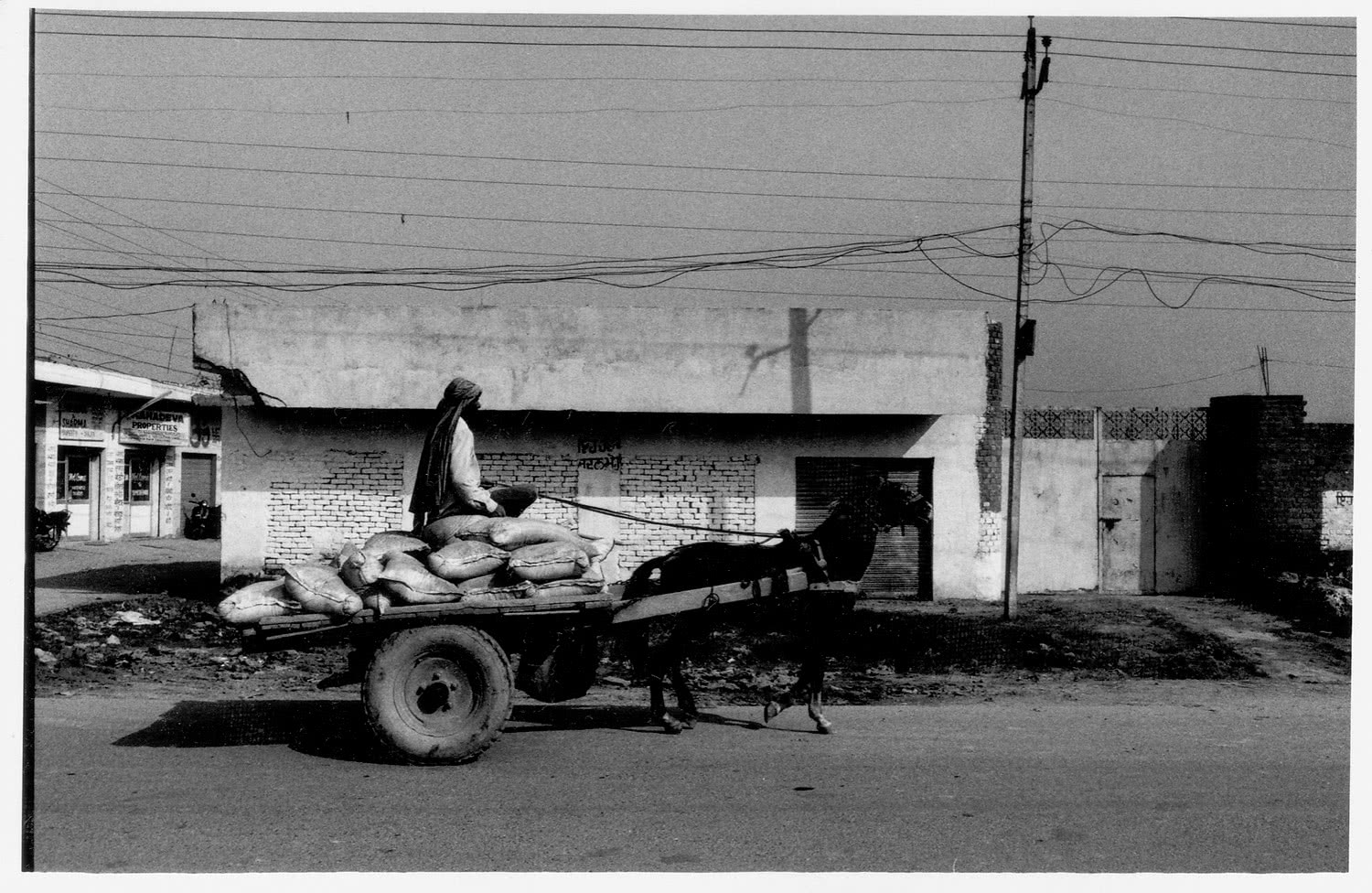 B&W Horse and cart in Punjab