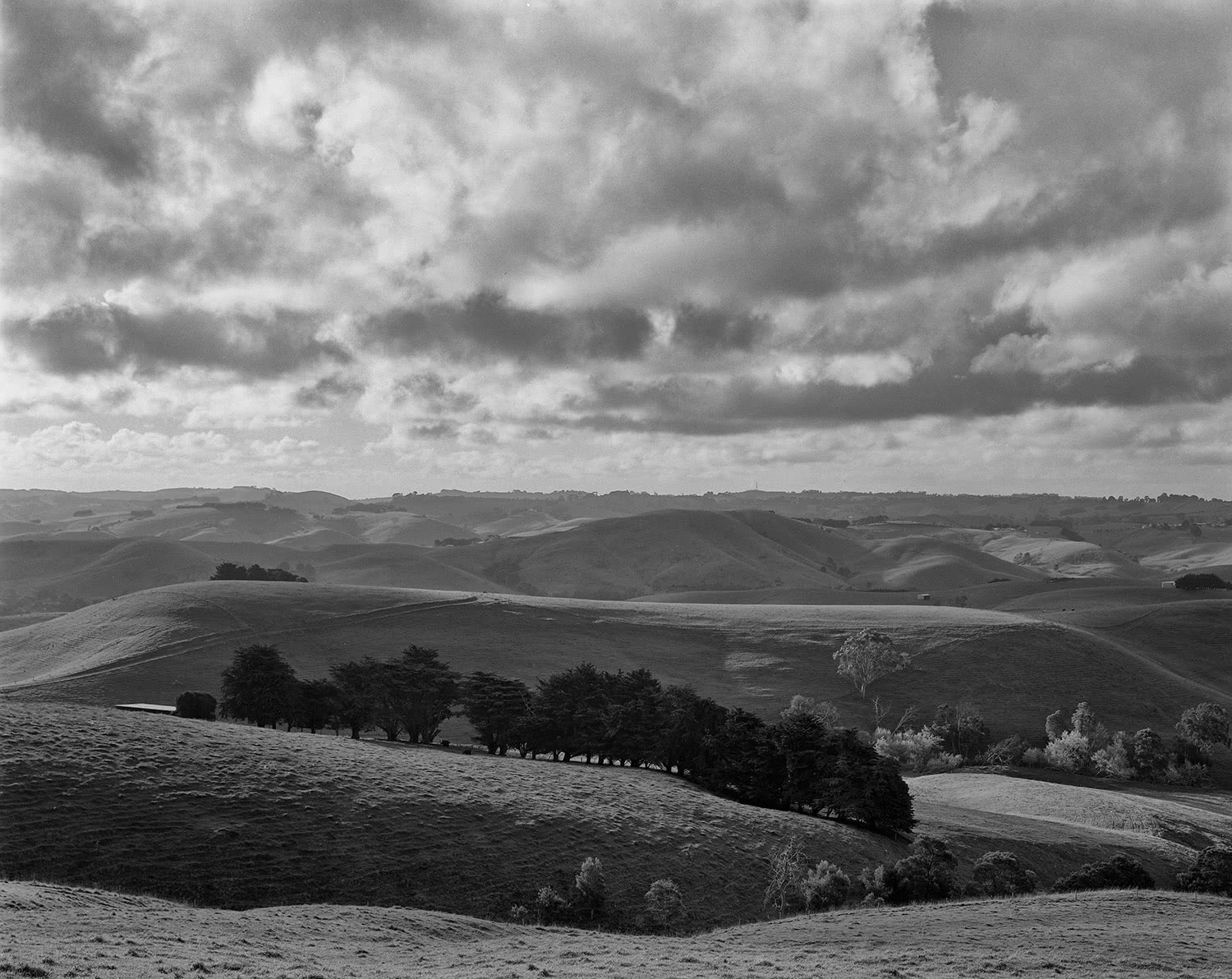 Black and white landscape Jumbunna
