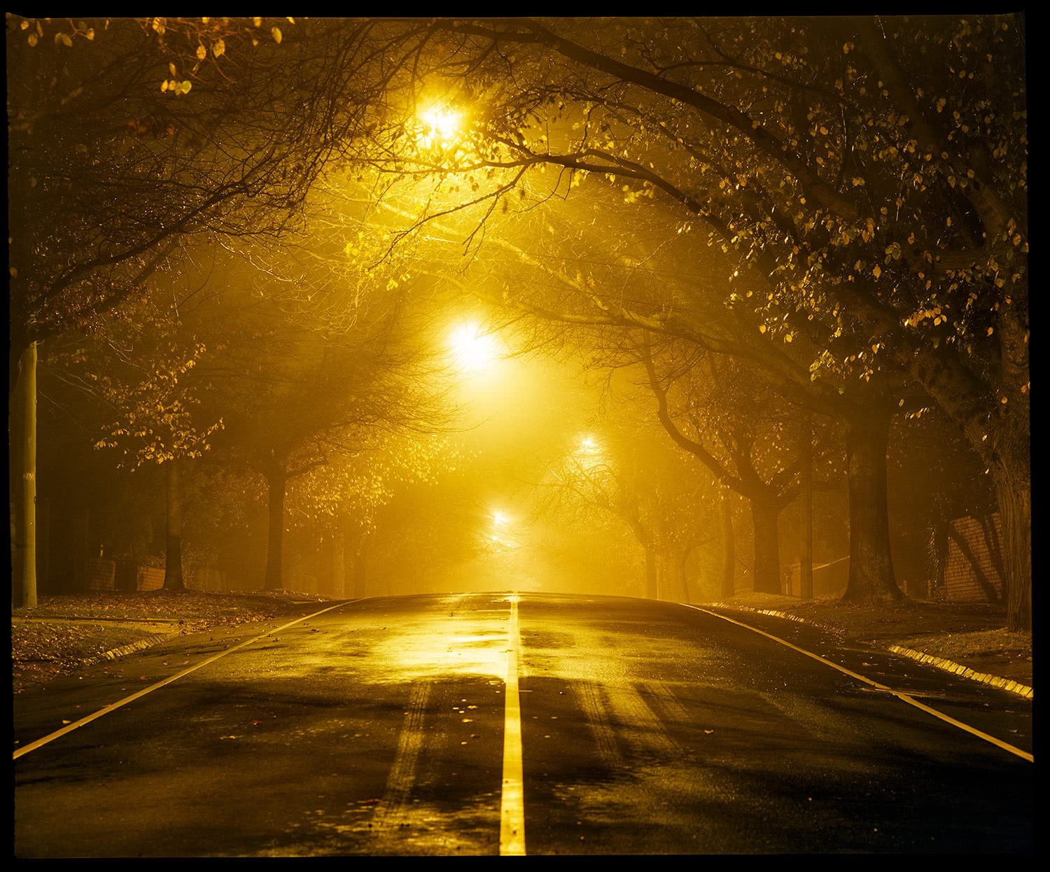 Foggy night Mont Albert Road Camberwell Melbourne